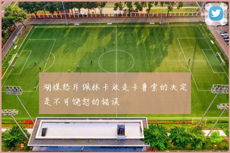 湖媒怒斥佩林卡放走卡鲁索的决定是不可饶恕的错误